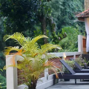 riverside-guesthouse-ubud.ubudhotelsnow.com/